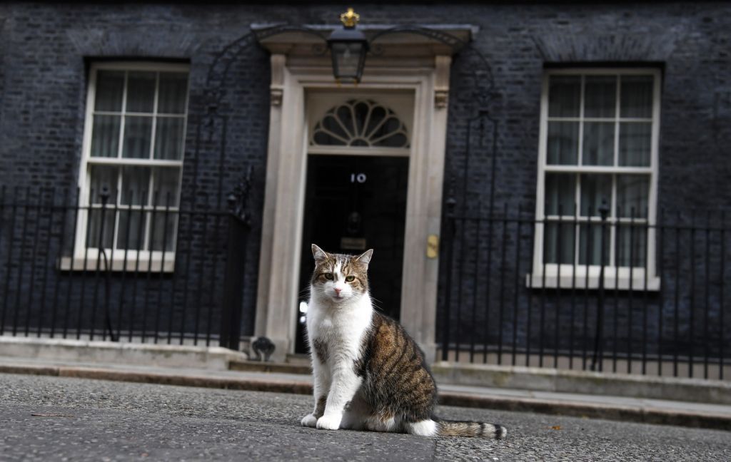 Ο Πολ ο βουλευτής, ο αριστερός χρυσαυγιτισμός και η Βρετανία που τρώει βελανίδια