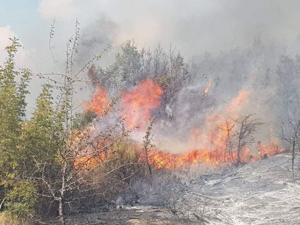Πυρκαγιά στην Λευκίμμη Έβρου – Ισχυρές δυνάμεις στο σημείο