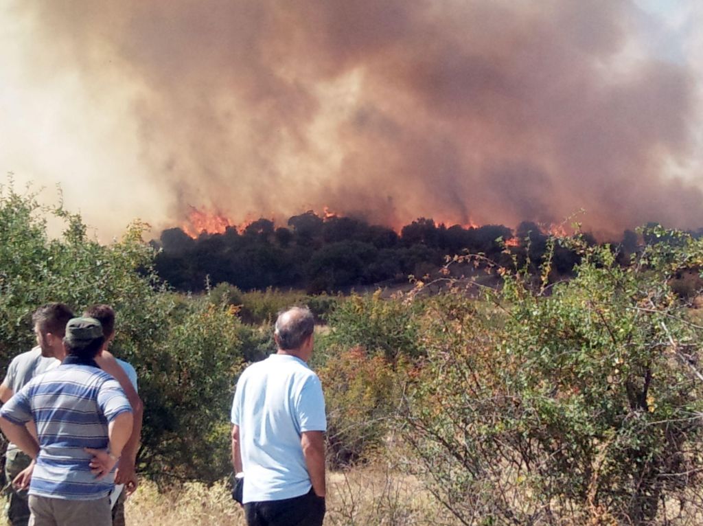 Αλεξανδρούπολη : Σχετικά αλώβητο το δάσος Δαδιάς από την πυρκαγιά