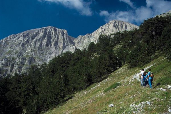 Όλυμπος : Σε εξέλιξη επιχείρηση διάσωσης 45χρονου ορειβάτη στο Οροπέδιο των Μουσών