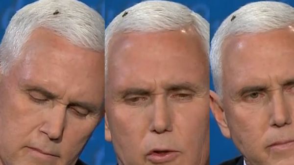 Εκλογές ΗΠΑ : Γλέντι στο Twitter με τη… μύγα που κάθισε στο κεφάλι του Πενς στο debate