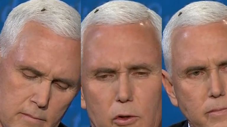 Εκλογές ΗΠΑ : Γλέντι στο Twitter με τη… μύγα που κάθισε στο κεφάλι του Πενς στο debate