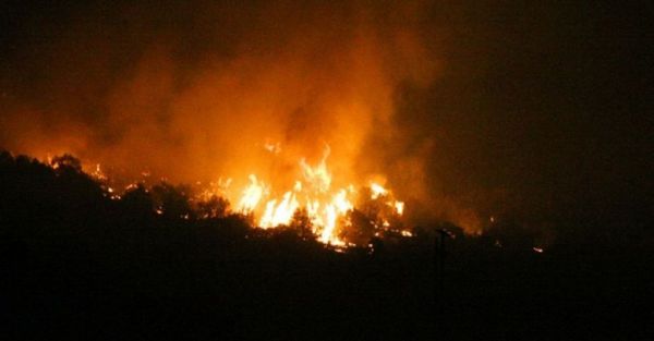 Πυρκαγιά σε δασική έκταση της Μεσσηνίας
