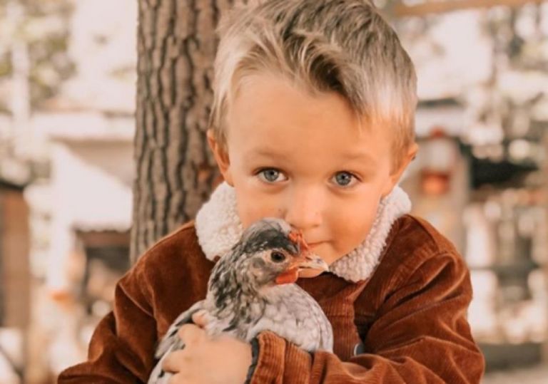 Γρίπη των πτηνών : Οι ενδείξεις που δεν πρέπει να αγνοήσετε