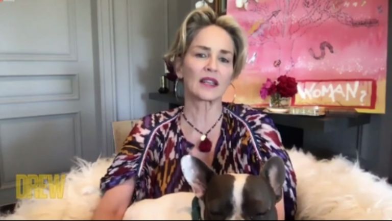 «Πάμε Δανάη!» : Πώς κέρδισε η Σάρον Στόουν το ρόλο στο «Βασικό Ένστικτο»;