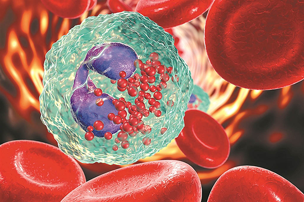 Κυτταρικό «αλεξίπτωτο» φρενάρει τη γήρανση