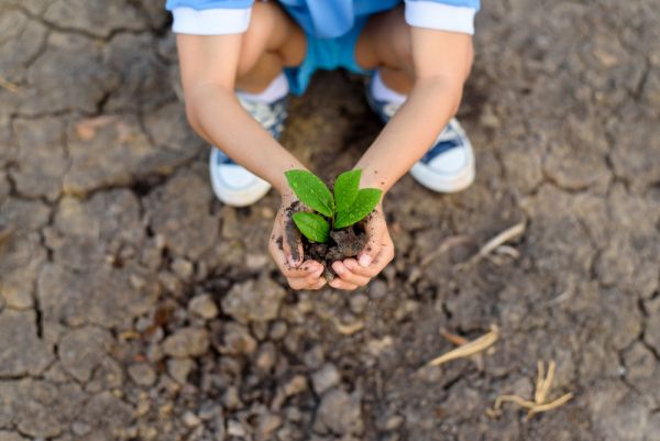 Δεν μπορεί να υπάρξει ανάπτυξη αν δεν είναι βιώσιμη