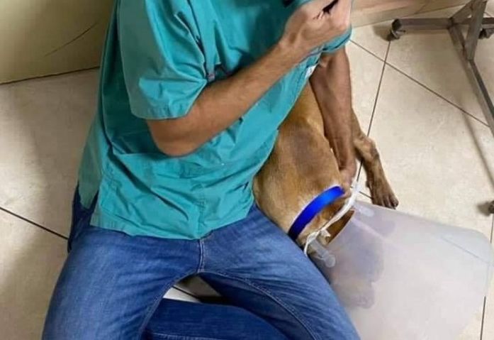 Χανιά : Οργή για τον άνθρωπο-τέρας που βασάνισε σκυλάκι - Ποιος είναι ο κτηνίατρος που τον έσωσε