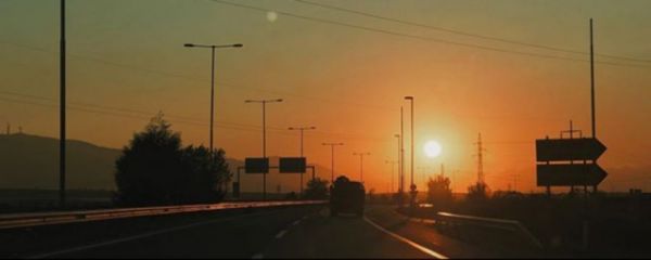 Νέα Ζηλανδία : Χάραξαν νέα γραμμή στον δρόμο περνώντας πάνω από νεκρό ζώο