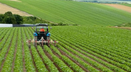 Γεωργία : Διορθώσεις προφανών σφαλμάτων για την Ενιαία Ενίσχυση 