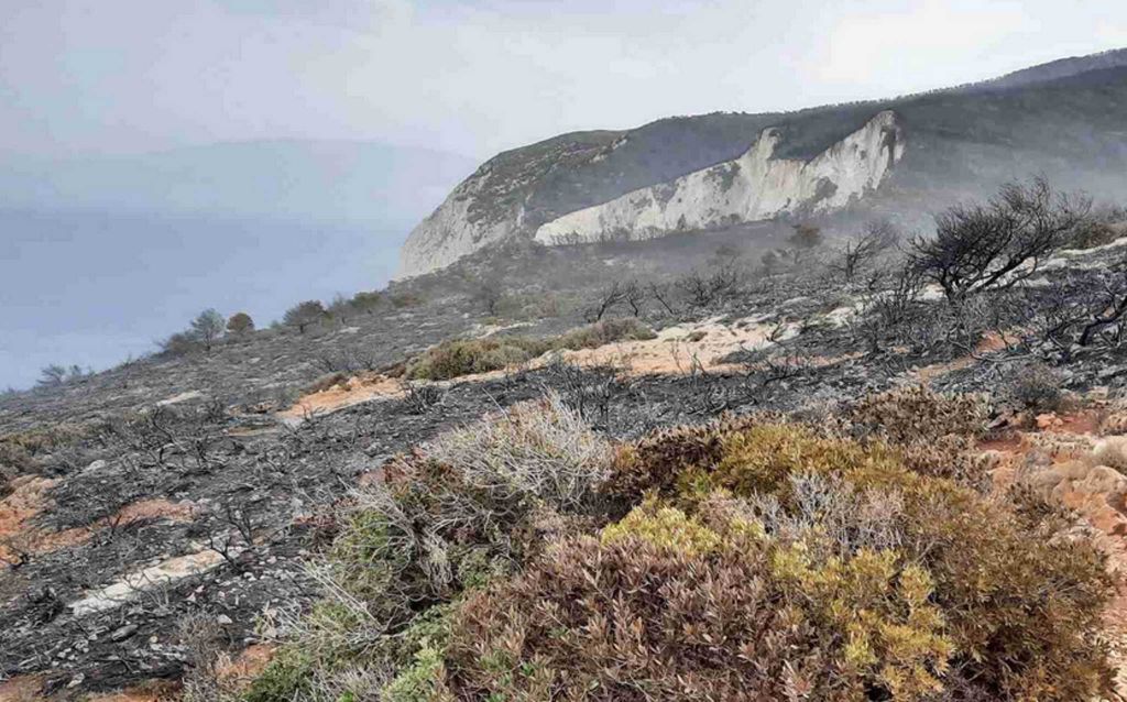 Ζάκυνθος: Οριοθετήθηκε η φωτιά – Καμένη γη πάνω από το διάσημο Ναυάγιο