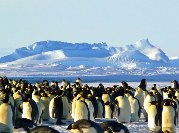 Ανταρκτική : Η παγωμένη ήπειρος του Νότου – Φώτο