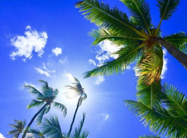 Χαβάη : ΄Ενα από τα πιο μοναδικά μέρη του Ειρηνικού