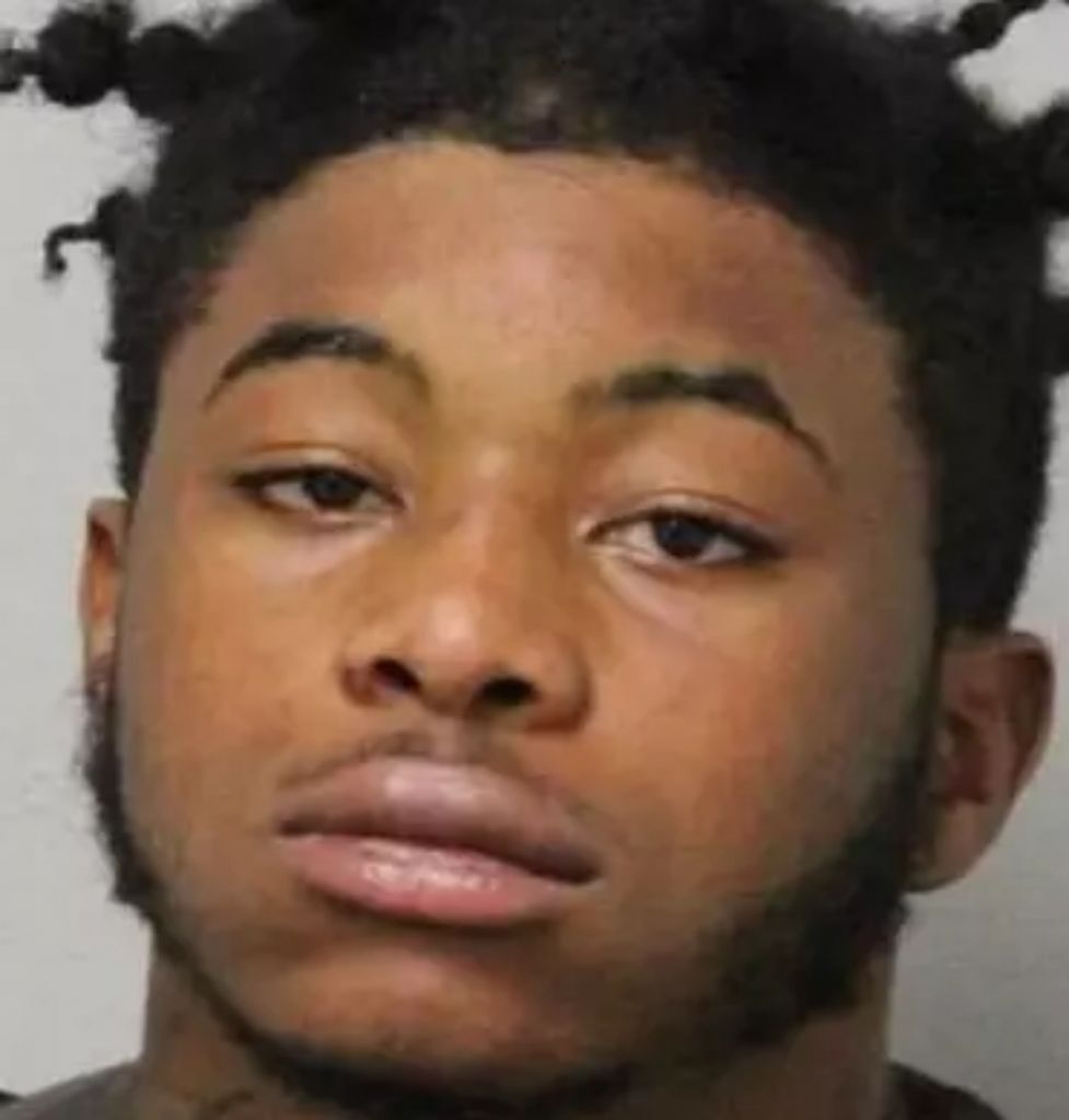 Νεαρός καταδικάστηκε σε 25 χρόνια αφού πυροβόλησε θανάσιμα σκυλί της αστυνομίας