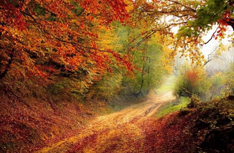 Το Facebook μας θυμίζει πώς είναι το πραγματικό Φθινόπωρο
