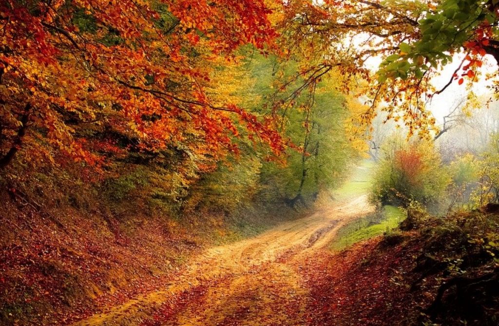 Το Facebook μας θυμίζει πώς είναι το πραγματικό Φθινόπωρο