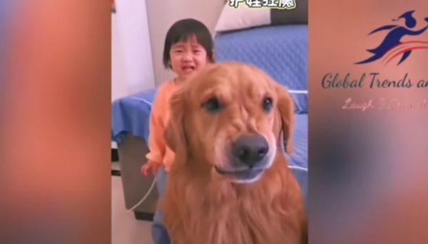 Αξιαγάπητος σκύλος προστατεύει κοριτσάκι που «τρώει κατσάδα» από τη μαμά του