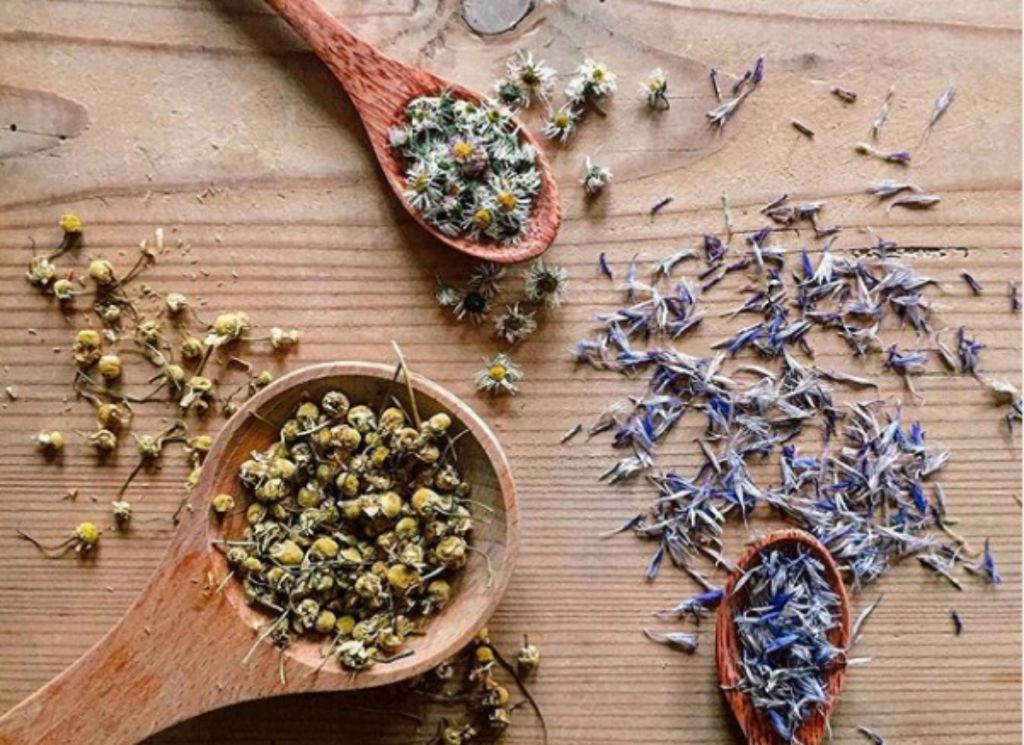 Αυτά είναι τα βότανα που φέρνουν ευτυχία, συγκέντρωση και δύναμη