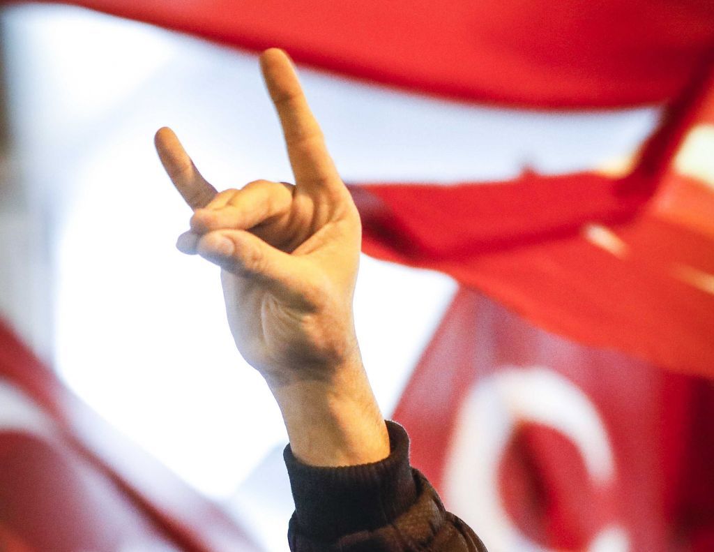 Γερμανία : Δεν διαπιστώνεται αυξημένη απειλή από τους Γκρίζους Λύκους