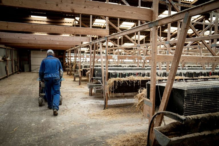 Κοροναϊός : Τα βιζόν της Δανίας έχουν να μας μάθουν ένα πολύτιμο μάθημα