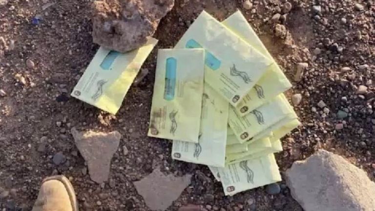 Εκλογές ΗΠΑ : Έκλεψαν επιστολικές ψήφους στην Αριζόνα – Τις βρήκε αγρότης πεταμένες σε χωράφι