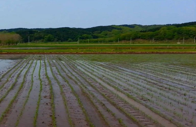Κιλελέρ : Ποιες ζημιές από τον Ιανό μπορούν να δηλωθούν