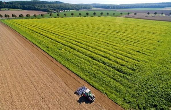 Αυτοί είναι οι κανόνες για τη νέα ΚΑΠ