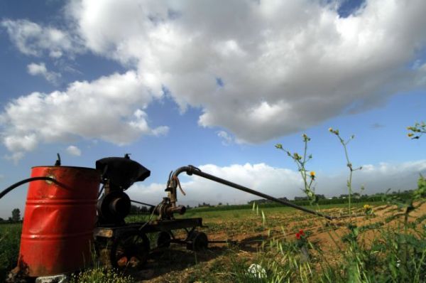 Αγρο-οικολογία: Συνδυασμός φύσης και γεωργίας
