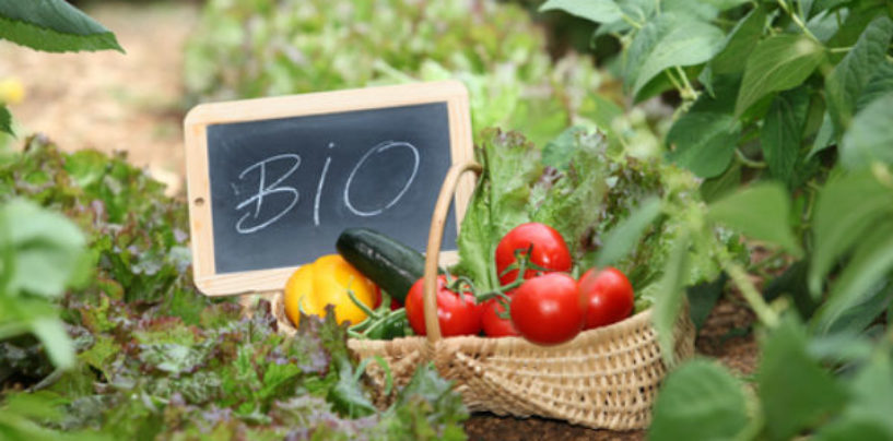 Οι αρχές της βιολογικής Γεωργίας – Τι ισχύει για την πιστοποίηση