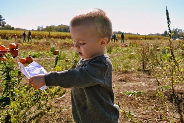 Πώς οι φάρμες προφυλάσσουν από το παιδικό άσθμα
