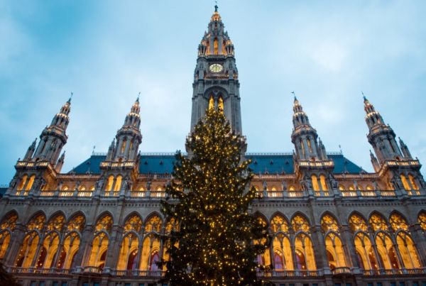 Βιέννη : Δύο τεράστια χριστουγεννιάτικα δένδρα ως σημάδια ειρήνης και μερικής κανονικότητας