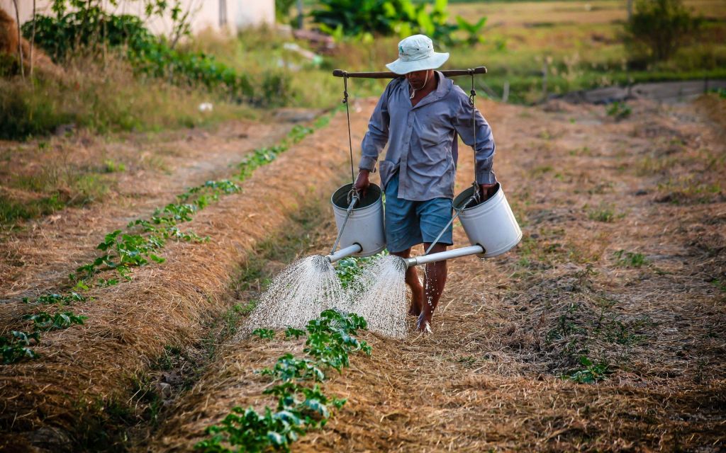 Διαδικτυακό σεμινάριο για την «Αγροτική Ατζέντα στην Ευρώπη μετά το COVID 19