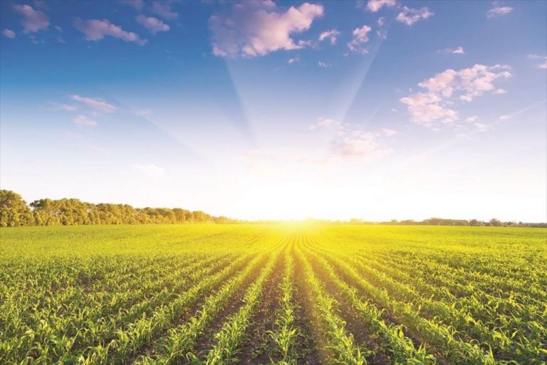 FAO : Ενίσχυση της παραγωγικότητας των αγροτών και επένδυση στην ψηφιακή καινοτομία