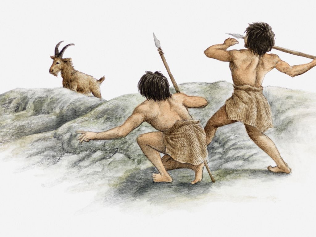 Στις πρώιμες ανθρώπινες κοινωνίες οι γυναίκες ήταν όχι μόνο τροφοσυλλέκτες αλλά και κυνηγοί