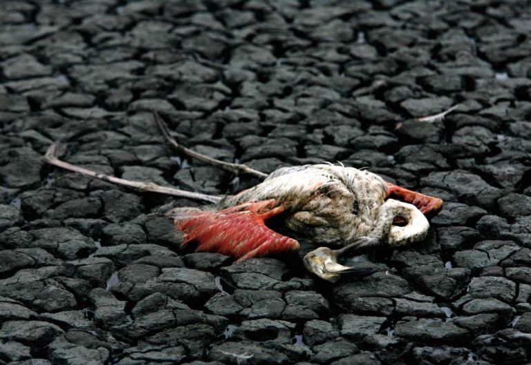 Και πάλι σε κίνδυνο η πολύπαθη λίμνη Κορώνεια