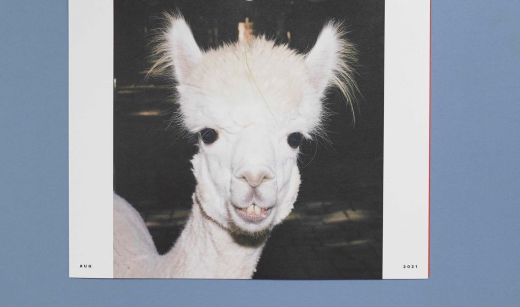 Ένα ημερολόγιο με εικόνες ζώων από εκλεκτούς φωτογράφους