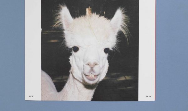 Ένα ημερολόγιο με εικόνες ζώων από εκλεκτούς φωτογράφους