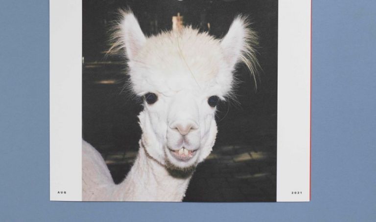 Ένα ημερολόγιο με εικόνες ζώων από εκλεκτούς φωτογράφους