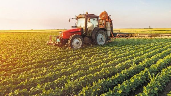 Μακροπρόθεσμο όραμα για τις αγροτικές περιοχές