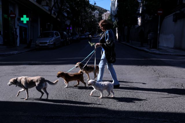 Ερευνα : Εκτρεφόμενα ζώα και κατοικίδια δεν μεταδίδουν σε ανθρώπους τον κοροναϊό