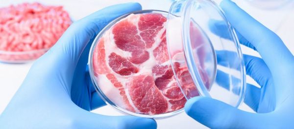 Τι είναι το «τεχνητό κρέας» και πώς επηρεάζει το περιβάλλον