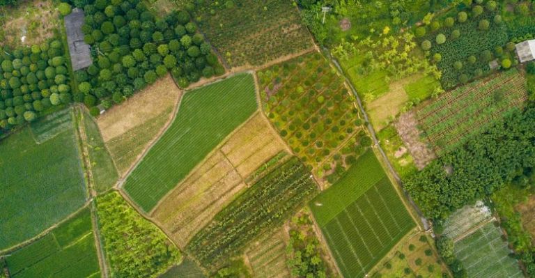 Τι κέρδισε η Ελλάδα με τη διαπραγμάτευση για τη νέα ΚΑΠ
