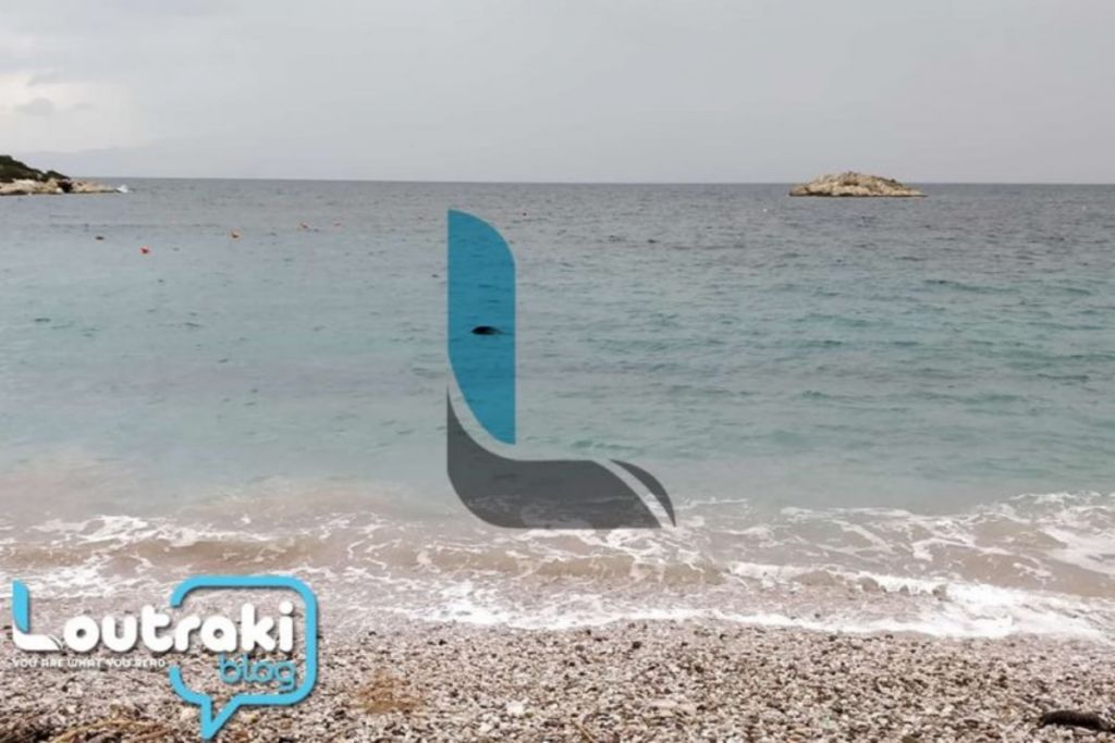 Λουτράκι : Αυτό που ξέβρασε η θάλασσα τον σόκαρε