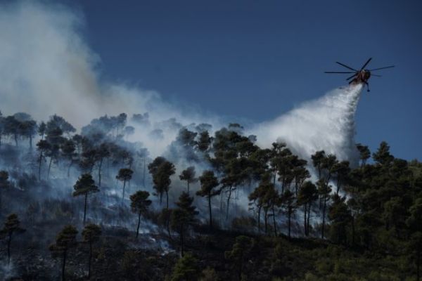Πυρκαγιά σε δασική έκταση στην Κάρυστο
