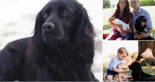 Κέιτ Μίντλετον – πρίγκιπας Γουίλιαμ : Το αντίο στον αγαπημένο τους σκύλο