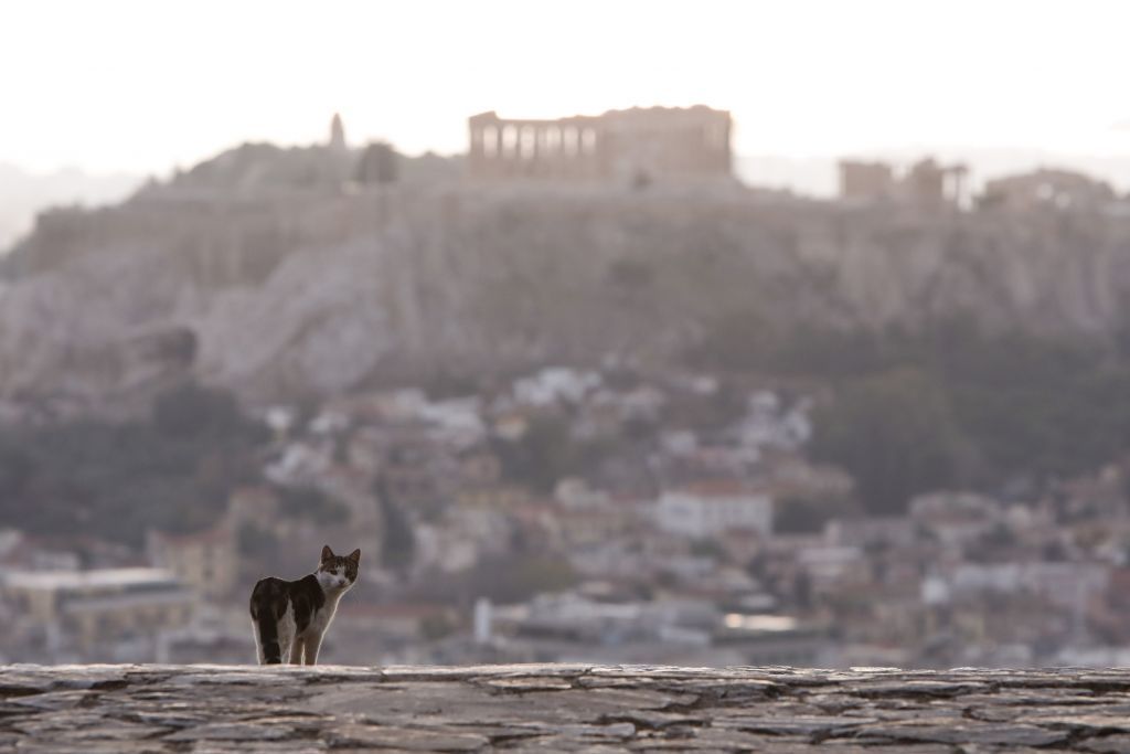 Κοροναϊός : Αυτοί είναι οι παράγοντες που καθιστούν πιο επιθετικό το δεύτερο κύμα στην Ελλάδα