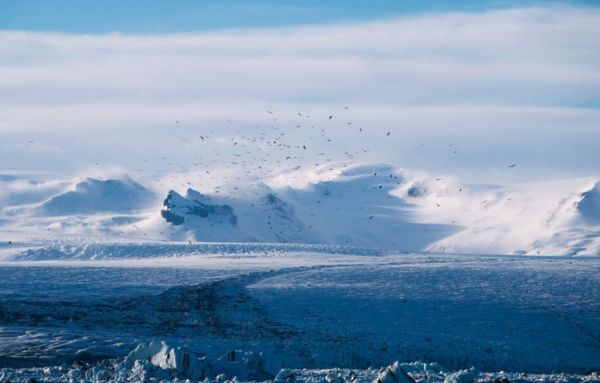 Γροιλανδία : Έτσι το λιώσιμο των πάγων θα επηρεάσει τις ζωές τουλάχιστον 287 εκατομμυρίων ανθρώπων