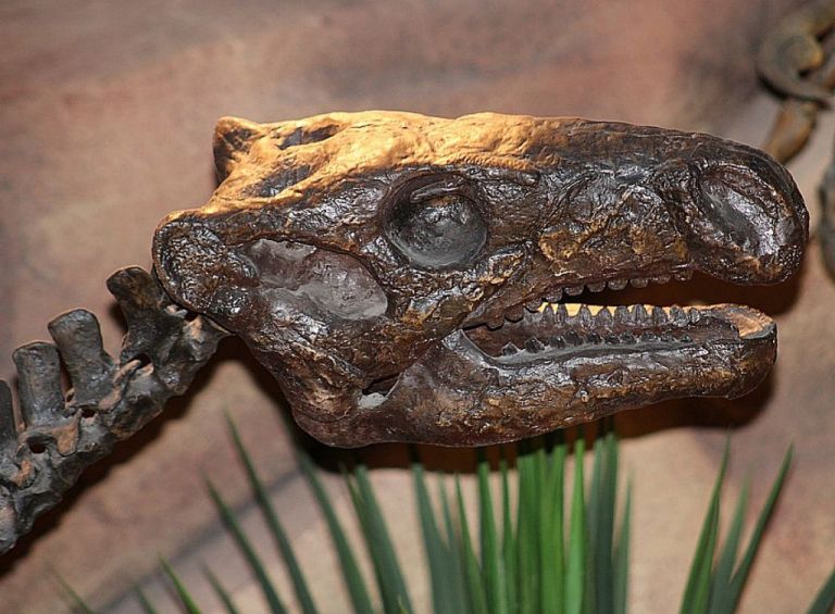 Ιρλανδία : Ποιος είπε ότι οι δεινόσαυροι δεν περπάτησαν ποτέ στο νησί – Τι ανακάλυψαν οι επιστήμονες