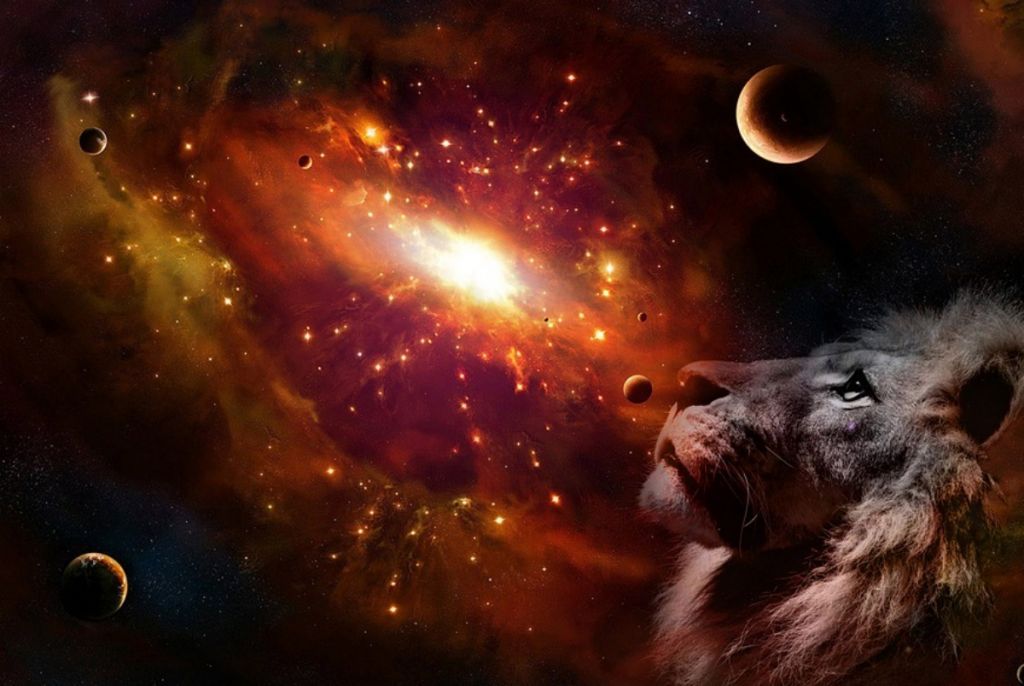 Βόρειος και Νότιος Δεσμός : Ο τρόπος που επιδρά στα συμπεριφορικά χαρακτηριστικά ενός ανθρώπου