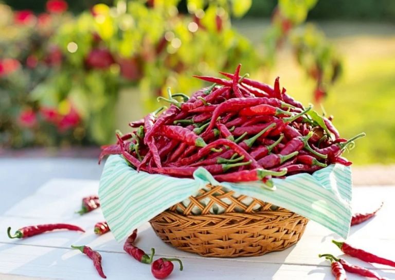 Καυτερές πιπεριές : Ίσως προσφέρουν σημαντικά οφέλη για την υγεία